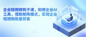 企业短视频钩子课,利用企业AI工具,借助矩阵模式,实现企业短视频批量获客-淘金日记