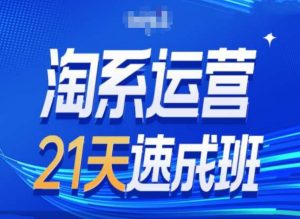 淘系运营24天速成班第28期最新万相台无界带免费流量-淘金日记