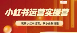 2024小红书运营实操营,从入门到精通,完成从0~1~100-淘金日记
