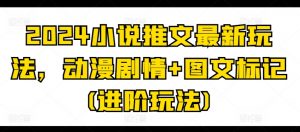 2024小说推文最新玩法,动漫剧情+图文标记(进阶玩法)-淘金日记