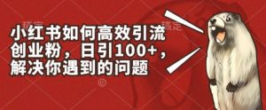 小红书如何高效引流创业粉，日引100+，解决你遇到的问题【揭秘】-淘金日记