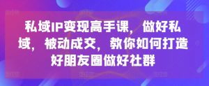 私域IP变现高手课,做好私域,被动成交,教你如何打造好朋友圈做好社群-淘金日记