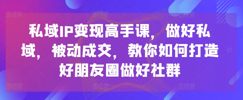 私域IP变现高手课,做好私域,被动成交,教你如何打造好朋友圈做好社群-淘金日记