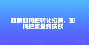 短剧如何把转化拉满，如何把流量变成钱-淘金日记
