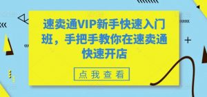 速卖通VIP新手快速入门班，手把手教你在速卖通快速开店-淘金日记