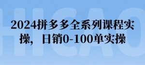 2024拼多多全系列课程实操,日销0-100单实操【必看】-淘金日记