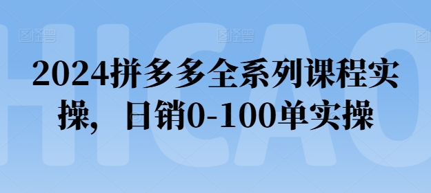 2024拼多多全系列课程实操,日销0-100单实操【必看】-淘金日记