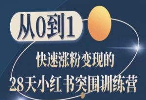 28天小红书突围训练营,从0到1快速涨粉变现-淘金日记
