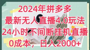 2024年拼多多最新无人直播4.0玩法，24小时不间断挂机直播，0成本，日入2k【揭秘】-淘金日记