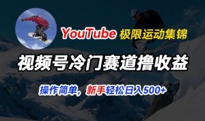 视频号冷门赛道撸收益,YouTube搬运极限运动集锦,暴力起号,操作简单流量高,轻松日入5张【揭秘】-淘金日记