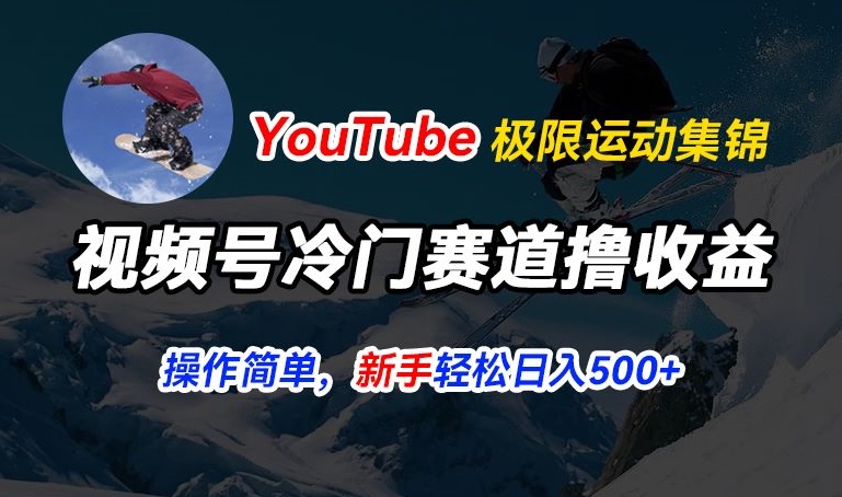 视频号冷门赛道撸收益,YouTube搬运极限运动集锦,暴力起号,操作简单流量高,轻松日入5张【揭秘】-淘金日记