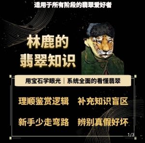 林鹿的翡翠知识,用宝石眼光,系统全面的看懂翡翠-淘金日记
