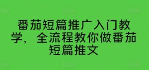 番茄短篇推广入门教学，全流程教你做番茄短篇推文-淘金日记