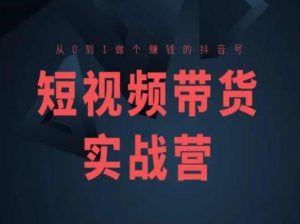 短视频带货实战营(高阶课),从0到1做个赚钱的抖音号-淘金日记