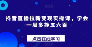 抖音直播拉新变现实操课,学会一周多挣五六百-淘金日记