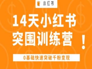 14天小红书突围训练营 ,0基础快速突破千粉变现-淘金日记