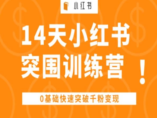 14天小红书突围训练营 ,0基础快速突破千粉变现-淘金日记