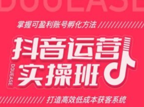 抖音运营实操班,掌握可盈利账号孵化方法,打造高效低成本获客系统-淘金日记