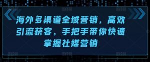 海外多渠道全域营销，高效引流获客，手把手带你快速掌握社媒营销-淘金日记