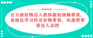百万级好物达人教你做短视频带货,系统化学习抖音好物带货,实战型带货达人亲授-淘金日记