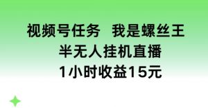 视频号任务,我是螺丝王, 半无人挂机1小时收益15元【揭秘】-淘金日记