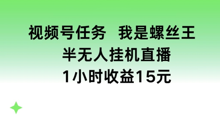 视频号任务，我是螺丝王， 半无人挂机1小时收益15元【揭秘】-淘金日记