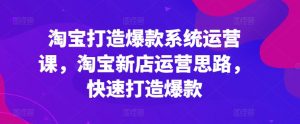 淘宝打造爆款系统运营课,淘宝新店运营思路,快速打造爆款-淘金日记