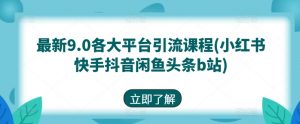 最新9.0各大平台引流课程(小红书快手抖音闲鱼头条b站)-淘金日记