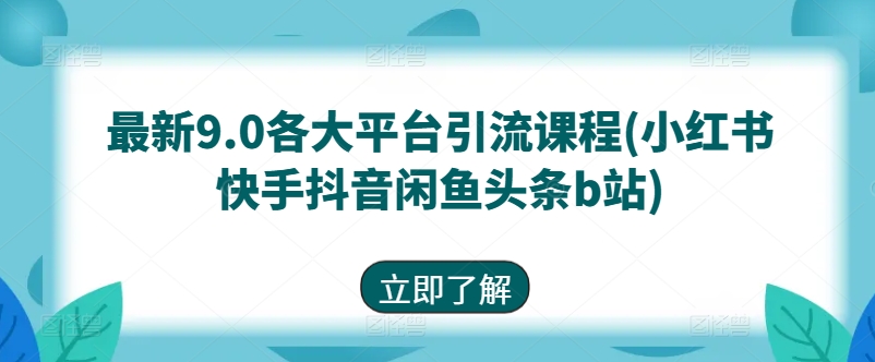 最新9.0各大平台引流课程(小红书快手抖音闲鱼头条b站)-淘金日记