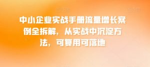 中小企业实战手册流量增长案例全拆解,从实战中沉淀方法,可复用可落地-淘金日记