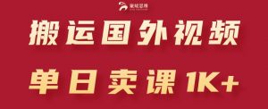 搬运国外视频，引流创业粉，单日卖课1K+【揭秘】-淘金日记