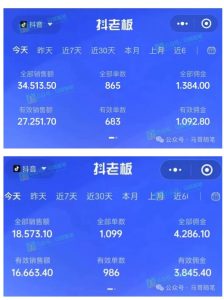 最新抖音无人直播项目,外面收费10w+的爆力玩法,当天必出单-淘金日记
