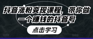 抖音涨粉变现课程,带你做一个赚钱的抖音号-淘金日记