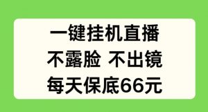 一键挂JI直播，不露脸不出境，每天保底66元【揭秘】-淘金日记