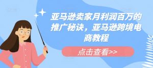 亚马逊卖家月利润百万的推广秘诀，亚马逊跨境电商教程-淘金日记