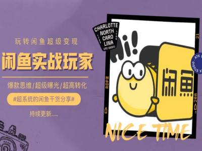 手把手教你0到1系统玩转闲鱼变现,爆款思维/超级曝光/超高转化-淘金日记