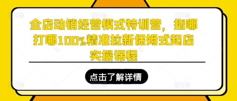全店动销经营模式特训营,指哪打哪100%精准拉新保姆式起店实操课程-淘金日记