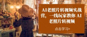 AI老照片转视频实战营,一线玩家教你AI老照片转视频-淘金日记