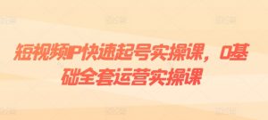短视频IP快速起号实操课,0基础全套运营实操课,爆款内容设计+粉丝运营+内容变现-淘金日记