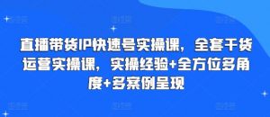 直播带货IP快速号实操课,全套干货运营实操课,实操经验+全方位多角度+多案例呈现-淘金日记
