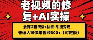 修复老视频的玩法，搬砖+引流的变现(可持久)，单条收益300+【揭秘】-淘金日记