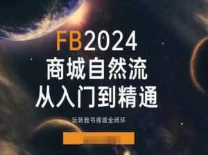 2024Faceboo商城自然流(从入门到精通)，玩转脸书商城全闭环-淘金日记