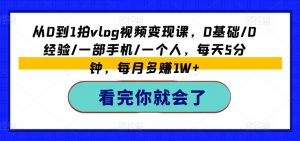 从0到1拍vlog视频变现课,0基础/0经验/一部手机/一个人,每天5分钟,每月多赚1W+-淘金日记
