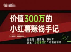 价值300万的小红书赚钱手记,变现高、链路短、轻运营,这波“小红薯风口”不能再错过-淘金日记