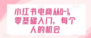 小红书电商从0-1,零基础入门,每个人的机会-淘金日记