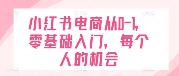 小红书电商从0-1，零基础入门，每个人的机会-淘金日记