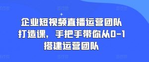 企业短视频直播运营团队打造课,手把手带你从0-1搭建运营团队-淘金日记