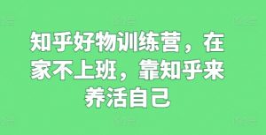 知乎好物训练营,在家不上班,靠知乎来养活自己-淘金日记