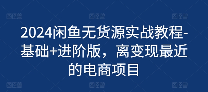 2024闲鱼无货源实战教程-基础+进阶版,离变现最近的电商项目-淘金日记