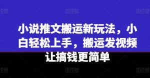 小说推文搬运新玩法，小白轻松上手，搬运发视频让搞钱更简单-淘金日记